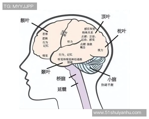 探索15084的奥秘与价值，揭示其在现代社会中的重要性与应用潜力
